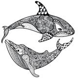 Акула и кит моря Zentangle стилизованная Нарисованное рукой illust вектора иллюстрация вектора Акула и кит моря Zentangle стилизованная Нарисованное рукой illust вектора иллюстрация вектора