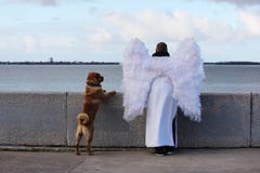 ангел и собака стоят на обваловке реки смотря в расстояние стоковая фотография ангел и собака стоят на обваловке реки смотря в расстояние стоковая фотография