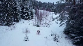 Антенна холит закручивая счастливую невесту держа ее в его руках в лесе ели погоды снега елевом во время снежностей акции видеоматериалы Антенна холит закручивая счастливую невесту держа ее в его руках в лесе ели погоды снега елевом во время снежностей акции видеоматериалы