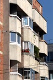 бальбоа стоковое фото бальбоа стоковое фото