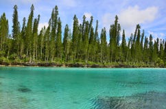 Бассейн Baie Oro острова сосны естественный лагуны Стоковая Фотография RF Бассейн Baie Oro острова сосны естественный лагуны Стоковая Фотография RF