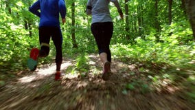 Бежать jogging в тренировке женщины леса, ходе, jogging, фитнесе, видео runner-4k акции видеоматериалы Бежать jogging в тренировке женщины леса, ходе, jogging, фитнесе, видео runner-4k акции видеоматериалы