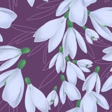 Безшовная картина с зацветая snowdrops и листьями бесплатная иллюстрация Безшовная картина с зацветая snowdrops и листьями бесплатная иллюстрация