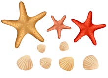 белизна seashell предпосылки изолированная собранием бесплатная иллюстрация белизна seashell предпосылки изолированная собранием бесплатная иллюстрация