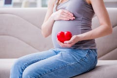 Беременная женщина при tummy живота сидя на софе дома стоковое изображение rf Беременная женщина при tummy живота сидя на софе дома стоковое изображение rf
