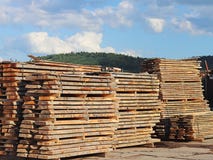 Большие деревянные планки штабелированные в шкафах для сушить под открытым небом в промышленной зоне Время древесины для плотниче стоковая фотография Большие деревянные планки штабелированные в шкафах для сушить под открытым небом в промышленной зоне Время древесины для плотниче стоковая фотография