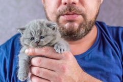 Бородатый человек обнимает маленького котенка стоковое изображение Бородатый человек обнимает маленького котенка стоковое изображение