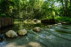 Булыжники на броде тенистого riverlet в солнечном после полудня лета стоковое фото Булыжники на броде тенистого riverlet в солнечном после полудня лета стоковое фото