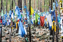 Буддийские shamanic флаги молитве на ритуальных деревьях стоковые фото Буддийские shamanic флаги молитве на ритуальных деревьях стоковые фото