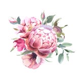 Букет акварели цветков пиона и blosom изолировать в белой предпосылке для свадьбы, приглашения, карт Валентайн и печатей иллюстрация вектора Букет акварели цветков пиона и blosom изолировать в белой предпосылке для свадьбы, приглашения, карт Валентайн и печатей иллюстрация вектора