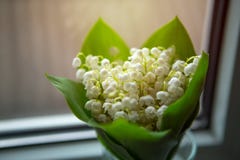 Букет ландыша цветет положение на windowsill около окна стоковые изображения Букет ландыша цветет положение на windowsill около окна стоковые изображения