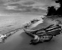 Бурный пляж при вода Driftwood брызгая над журналом стоковая фотография Бурный пляж при вода Driftwood брызгая над журналом стоковая фотография