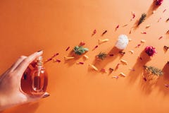 Бутылка удерживания женщины духов с ингредиентами Благоухание цветков, специй, трав и ели на оранжевой предпосылке стоковое фото Бутылка удерживания женщины духов с ингредиентами Благоухание цветков, специй, трав и ели на оранжевой предпосылке стоковое фото