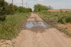 В середине грязной улицы лужица после дождя, зеленая трава растут толсто на сторонах дороги стоковые фото В середине грязной улицы лужица после дождя, зеленая трава растут толсто на сторонах дороги стоковые фото