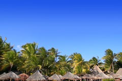 валы playa ладони palapa Мексики del carmen тропические стоковое изображение rf валы playa ладони palapa Мексики del carmen тропические стоковое изображение rf