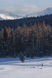 Вертикальный горный вид ландшафта вездеходного более skiier парка зимы, Колорадо стоковое изображение Вертикальный горный вид ландшафта вездеходного более skiier парка зимы, Колорадо стоковое изображение
