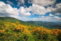 Весна азалии пламени горы цветет сценарный Appalachia ландшафта стоковое фото Весна азалии пламени горы цветет сценарный Appalachia ландшафта стоковое фото