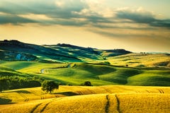 Весна Тосканы, Rolling Hills на заходе солнца Landscap Volterra сельский стоковая фотография rf Весна Тосканы, Rolling Hills на заходе солнца Landscap Volterra сельский стоковая фотография rf