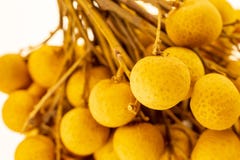 Ветвь Dimocarpus Longan свежих фруктов Таиланда много malasia wyatnam Азии десерта небольших плодов сочное очень вкусное стоковые изображения rf Ветвь Dimocarpus Longan свежих фруктов Таиланда много malasia wyatnam Азии десерта небольших плодов сочное очень вкусное стоковые изображения rf