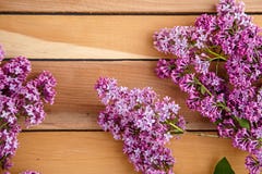 Ветвь сирени на деревянной предпосылке r стоковое фото Ветвь сирени на деревянной предпосылке r стоковое фото