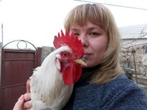 Ветеринар держа петуха в его оружиях на птицеферме стоковые изображения rf Ветеринар держа петуха в его оружиях на птицеферме стоковые изображения rf