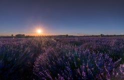 Вечер захода солнца с полем лаванды в Valensole, Провансали, Франции стоковое фото rf Вечер захода солнца с полем лаванды в Valensole, Провансали, Франции стоковое фото rf
