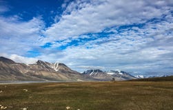 Взгляд лета Свальбарда стоковая фотография rf Взгляд лета Свальбарда стоковая фотография rf