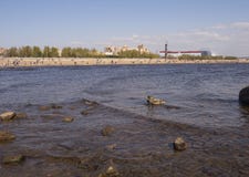 Взгляд 2 уток плавает в море на предпосылке пляжа стоковое изображение rf Взгляд 2 уток плавает в море на предпосылке пляжа стоковое изображение rf