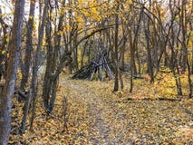 Взгляды леса падения осени через деревья на вилке желтого цвета каньона Розы и большом следе утеса в горах Oquirrh на Wasatc стоковая фотография Взгляды леса падения осени через деревья на вилке желтого цвета каньона Розы и большом следе утеса в горах Oquirrh на Wasatc стоковая фотография