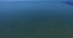 Видео самых больших песчанной дюны и океана Дюна du Pilat в Европе, Arcachon, Франции Следы ноги на песке, видео для backgr места сток-видео Видео самых больших песчанной дюны и океана Дюна du Pilat в Европе, Arcachon, Франции Следы ноги на песке, видео для backgr места сток-видео
