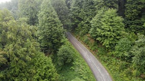 Вид с воздуха дороги горы в тумане стоковая фотография Вид с воздуха дороги горы в тумане стоковая фотография