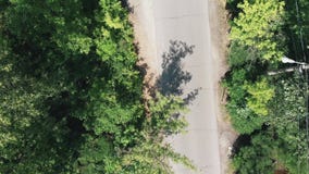 Вид с воздуха дороги парка в трутне леса летает через зеленый парк Остров Truhanov сток-видео Вид с воздуха дороги парка в трутне леса летает через зеленый парк Остров Truhanov сток-видео