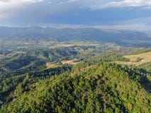 Вид с воздуха зеленых холмов с деревьями в Napa Valley стоковое фото rf Вид с воздуха зеленых холмов с деревьями в Napa Valley стоковое фото rf