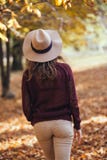 Вид сзади девушки брюнет в парке падения осени в коричневых шляпе, свитере и брюках Задний взгляд портрета осени женщины стоковые фото Вид сзади девушки брюнет в парке падения осени в коричневых шляпе, свитере и брюках Задний взгляд портрета осени женщины стоковые фото