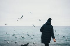 Вид сзади чайок молодой женщины хипстера питаясь стоковые фото Вид сзади чайок молодой женщины хипстера питаясь стоковые фото