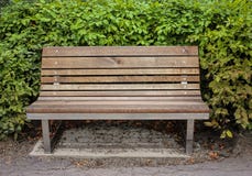 Вид спереди деревянной скамьи на тротуаре в парке, солнечный день с кустами в предпосылке стоковые фото Вид спереди деревянной скамьи на тротуаре в парке, солнечный день с кустами в предпосылке стоковые фото