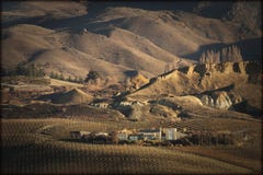 Виноградник затруднения Mt, Cromwell, центральное Otago, Новая Зеландия Стоковая Фотография Виноградник затруднения Mt, Cromwell, центральное Otago, Новая Зеландия Стоковая Фотография