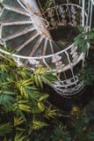 Винтовая лестница в доме ладони, садах Kew в зиме/осени стоковое фото Винтовая лестница в доме ладони, садах Kew в зиме/осени стоковое фото