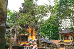 Висок на святилище леса обезьяны в Ubud, Бали, Индонезии стоковые фото Висок на святилище леса обезьяны в Ubud, Бали, Индонезии стоковые фото