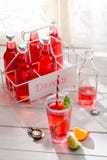 Вкусное красное питье лета в бутылке с лист мяты стоковое изображение Вкусное красное питье лета в бутылке с лист мяты стоковое изображение