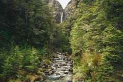 Водопад в национальном парке пропуска ` s Артура, Новая Зеландия ` s Punchbowl дьявола стоковое изображение rf Водопад в национальном парке пропуска ` s Артура, Новая Зеландия ` s Punchbowl дьявола стоковое изображение rf