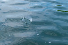 вода вектора картины иллюстрации цвета предпосылки безшовная стоковое изображение вода вектора картины иллюстрации цвета предпосылки безшовная стоковое изображение