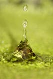 вода падений стоковое изображение вода падений стоковое изображение