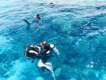 2 водолаза в черных костюмах скубы, человеке и женщине с бутылками кислорода тонут под прозрачное открытое море в море, th стоковое фото 2 водолаза в черных костюмах скубы, человеке и женщине с бутылками кислорода тонут под прозрачное открытое море в море, th стоковое фото