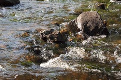 Водопады в лете Ясность и свежая вода падают вниз Подкраски зеленого, голубого и белого Серые камни внутрь Fotogr стоковые изображения rf Водопады в лете Ясность и свежая вода падают вниз Подкраски зеленого, голубого и белого Серые камни внутрь Fotogr стоковые изображения rf