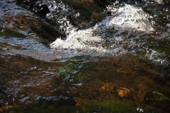 Водопады в лете Ясность и свежая вода падают вниз Подкраски зеленого, голубого и белого Серые камни внутрь Fotogr стоковые фото Водопады в лете Ясность и свежая вода падают вниз Подкраски зеленого, голубого и белого Серые камни внутрь Fotogr стоковые фото