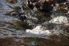 Водопады в лете Ясность и свежая вода падают вниз Подкраски зеленого, голубого и белого Серые камни внутрь Fotogr стоковая фотография Водопады в лете Ясность и свежая вода падают вниз Подкраски зеленого, голубого и белого Серые камни внутрь Fotogr стоковая фотография