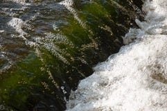 Водопады в лете Ясность и свежая вода падают вниз Подкраски зеленого, голубого и белого Серые камни внутрь Fotogr стоковые изображения rf Водопады в лете Ясность и свежая вода падают вниз Подкраски зеленого, голубого и белого Серые камни внутрь Fotogr стоковые изображения rf