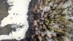 Воздушное фотографирование леса в зиме стоковое фото Воздушное фотографирование леса в зиме стоковое фото