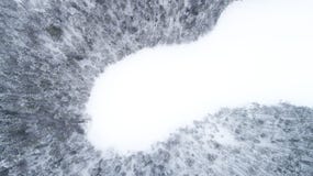 Воздушный взгляд трутня ландшафта зимы Снег покрыл лес и озера стоковые фото Воздушный взгляд трутня ландшафта зимы Снег покрыл лес и озера стоковые фото